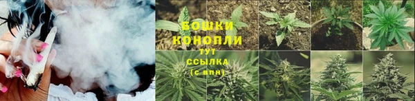 амф Елизово