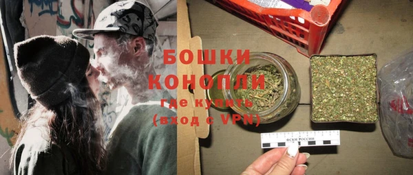 дживик Ельня