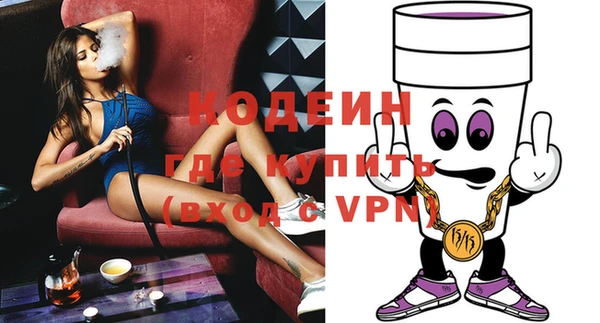 дживик Ельня