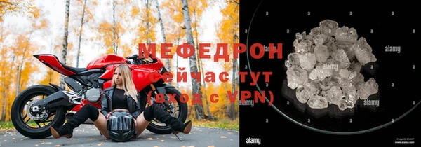дживик Ельня