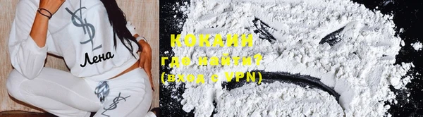 дживик Ельня